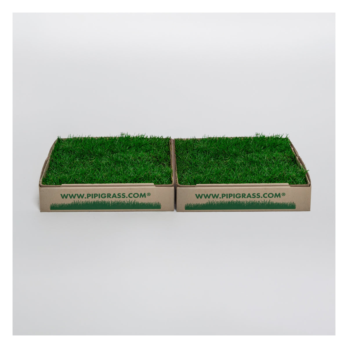 PipiGrass 2XL