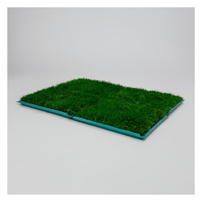 Membresía PipiGrass 4XL