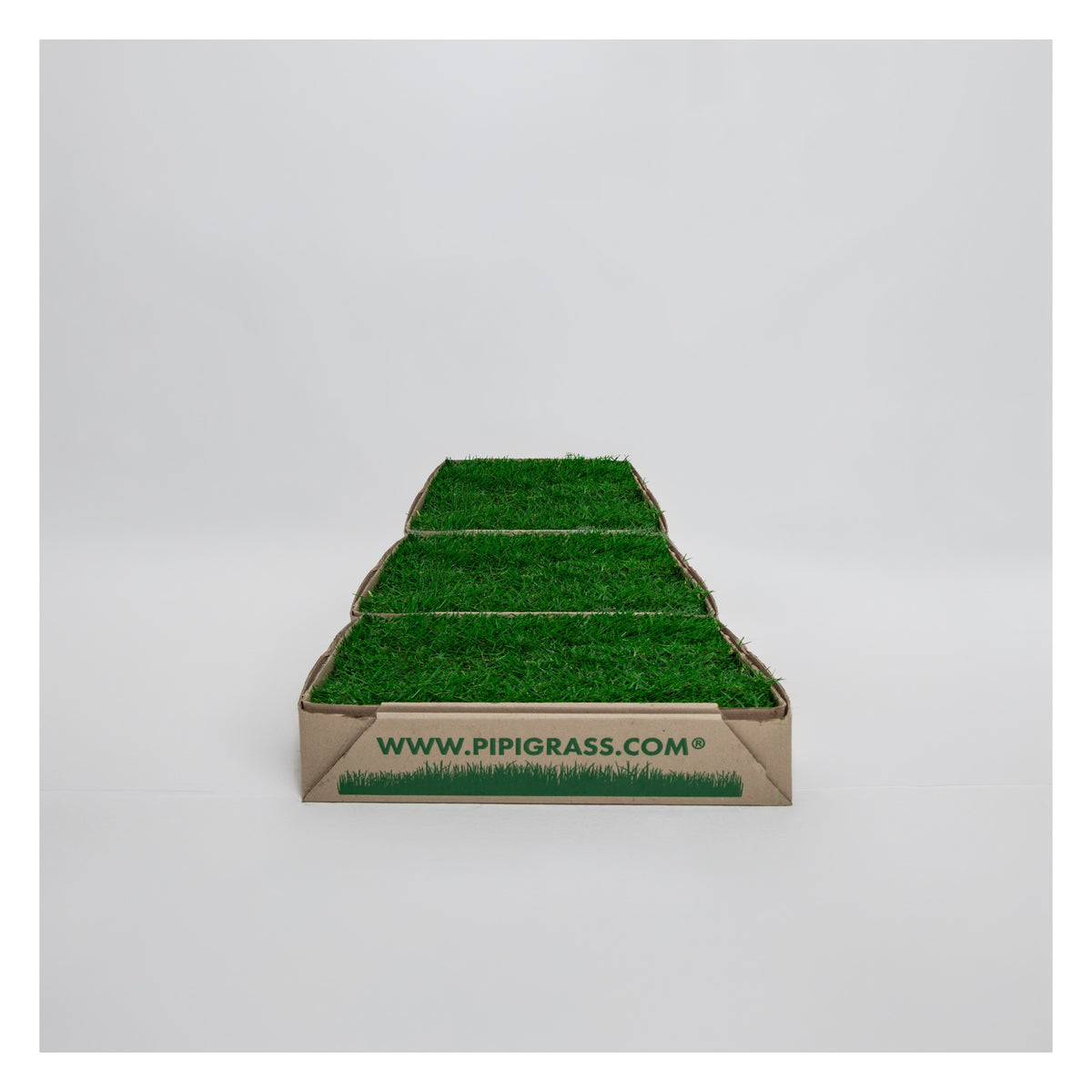 PipiGrass 3XL