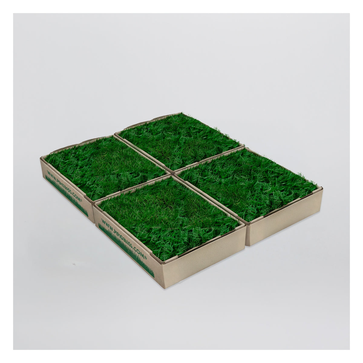 PipiGrass 4XL
