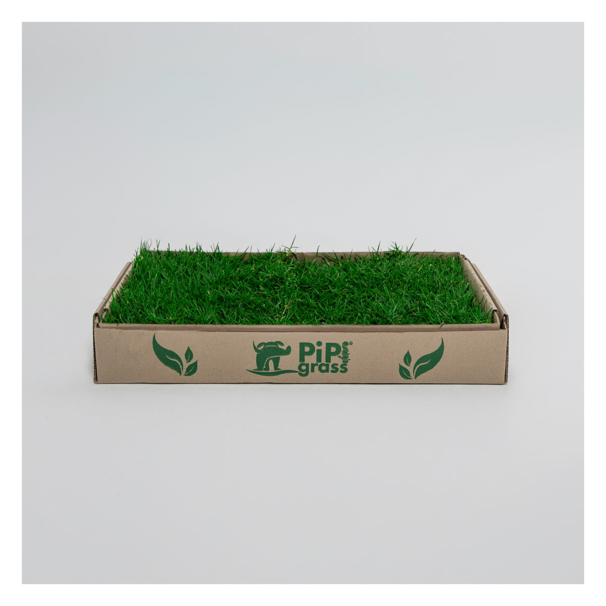 PipiGrass Estándar