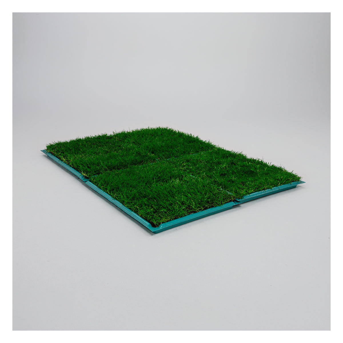 Membresía PipiGrass 4XL
