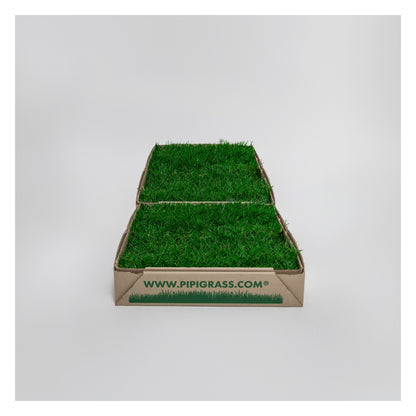 PipiGrass 2XL
