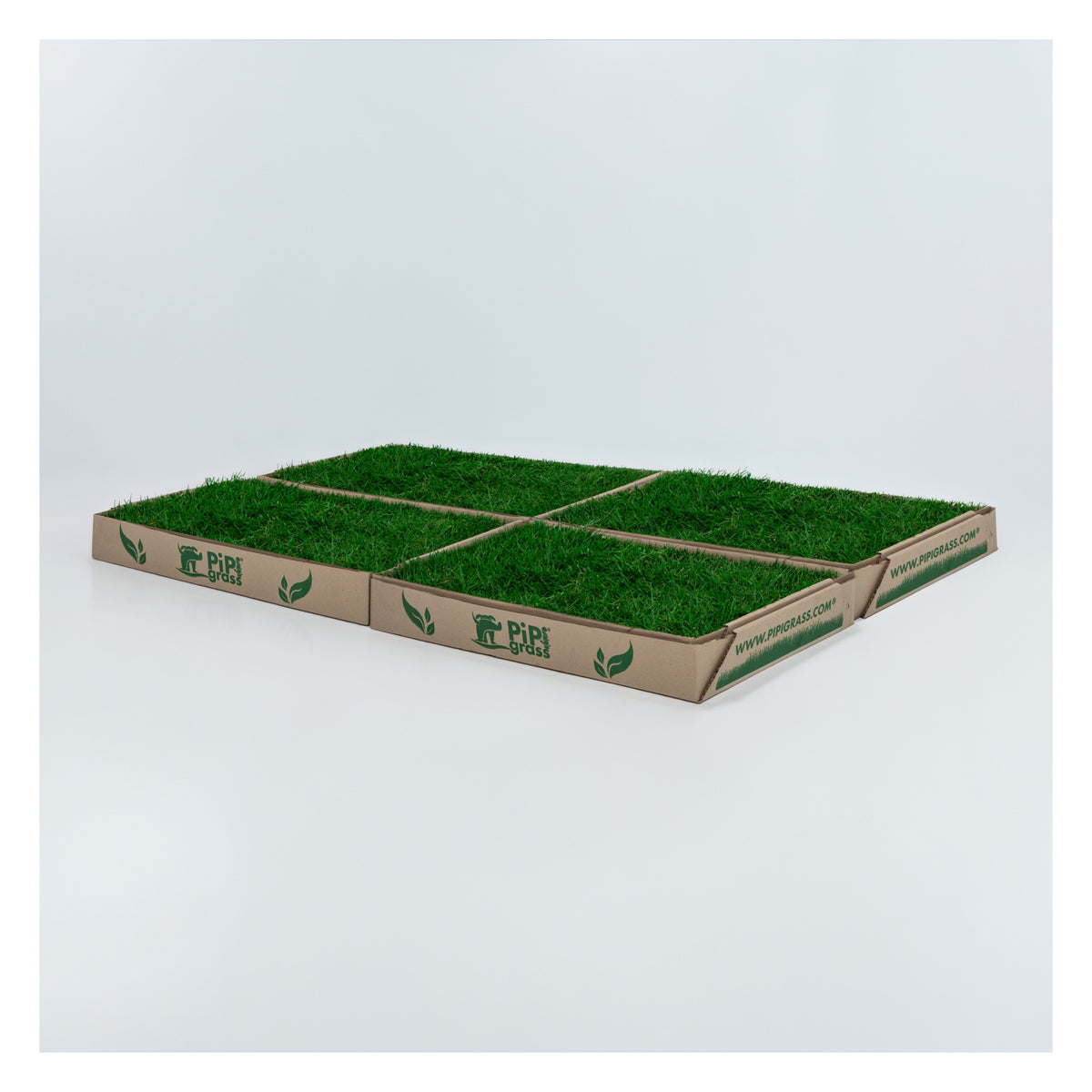 PipiGrass 4XL