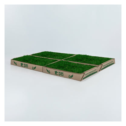 PipiGrass 4XL