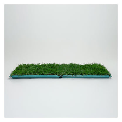 Membresía Mensual PipiGrass 2XL
