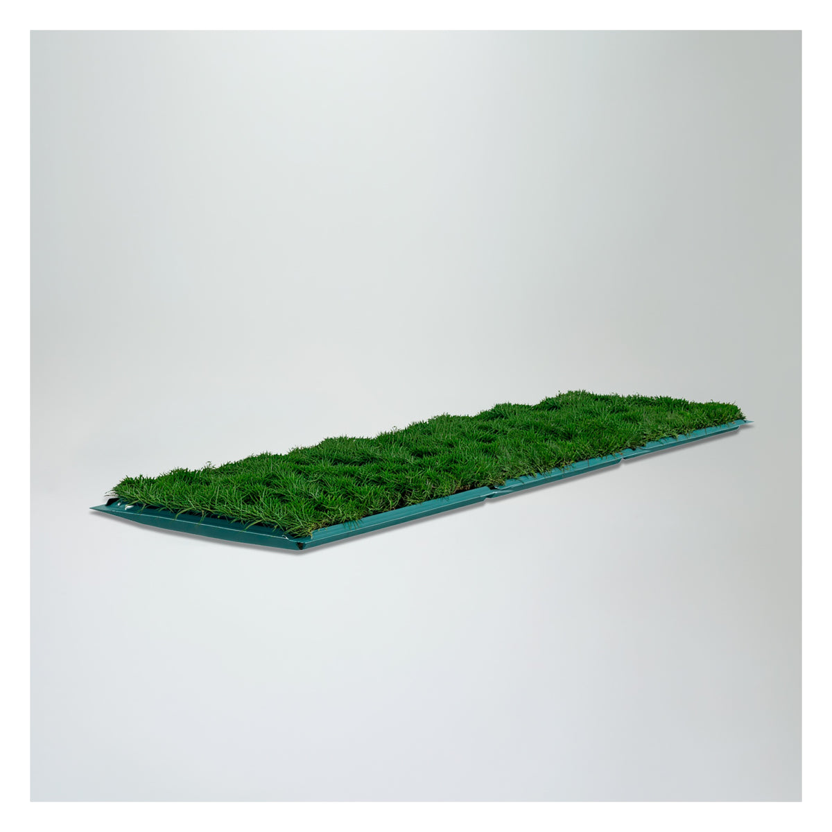 Membresía PipiGrass 3XL
