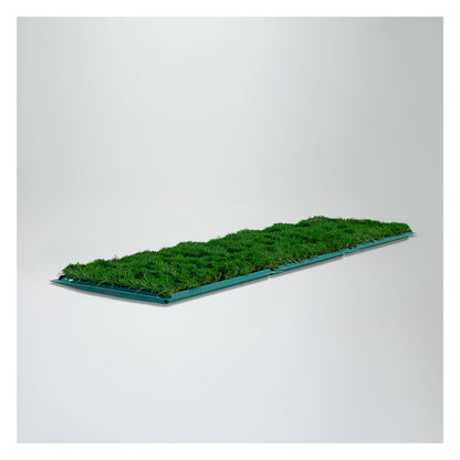 Membresía PipiGrass 3XL
