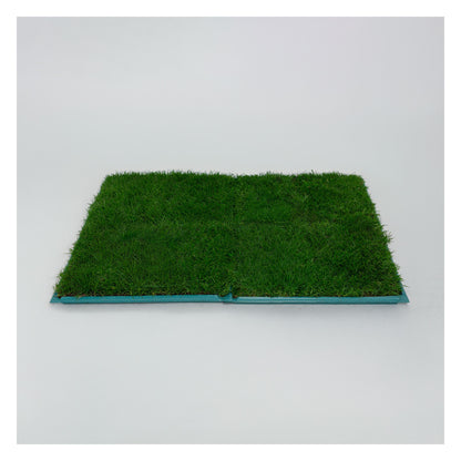 Membresía PipiGrass 4XL