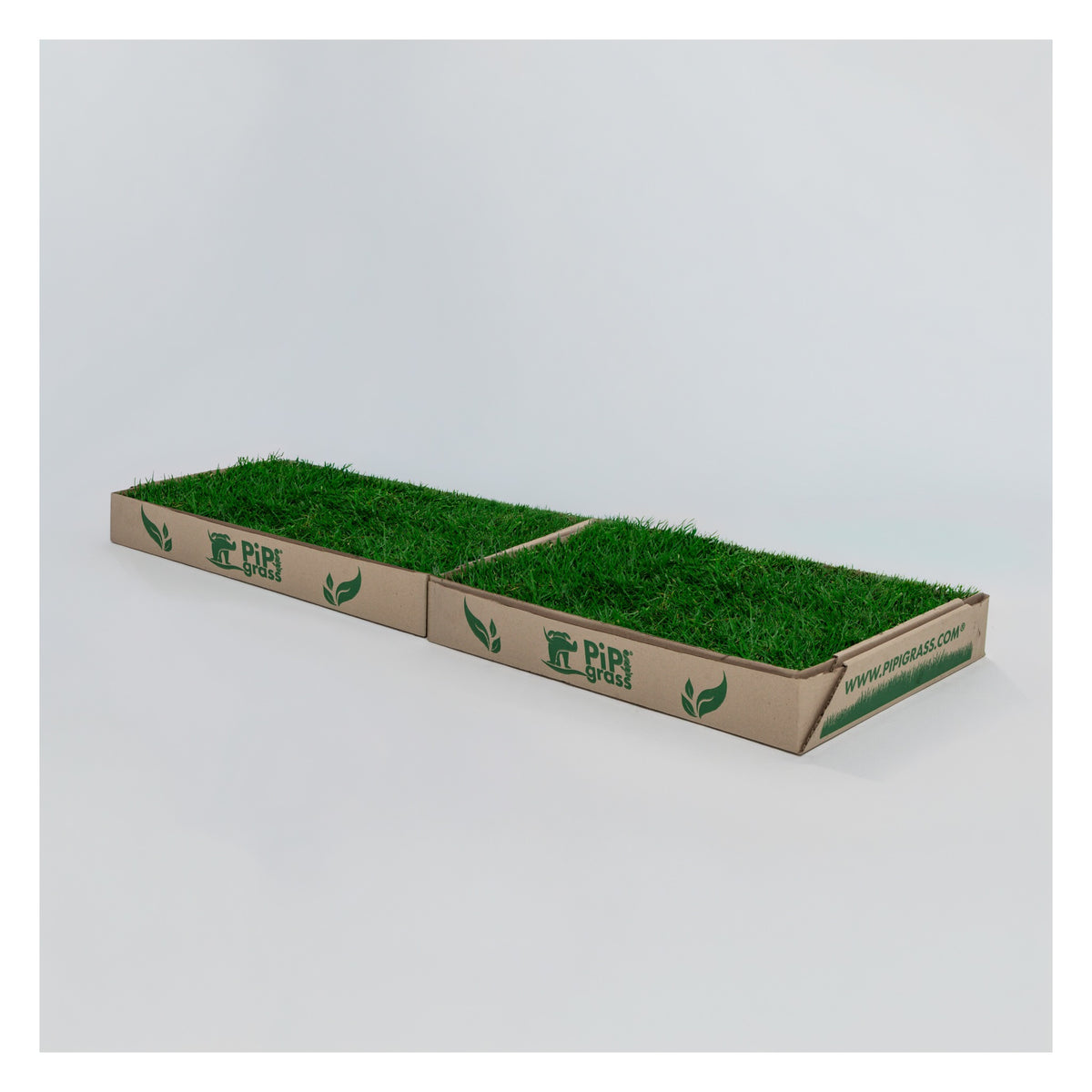 PipiGrass 2XL