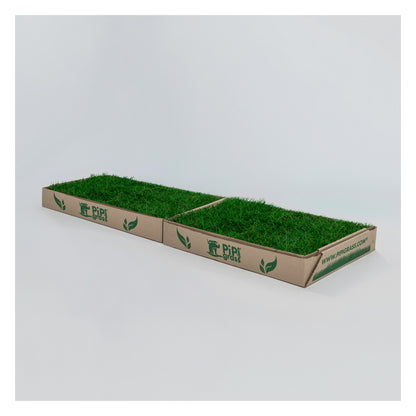 PipiGrass 2XL