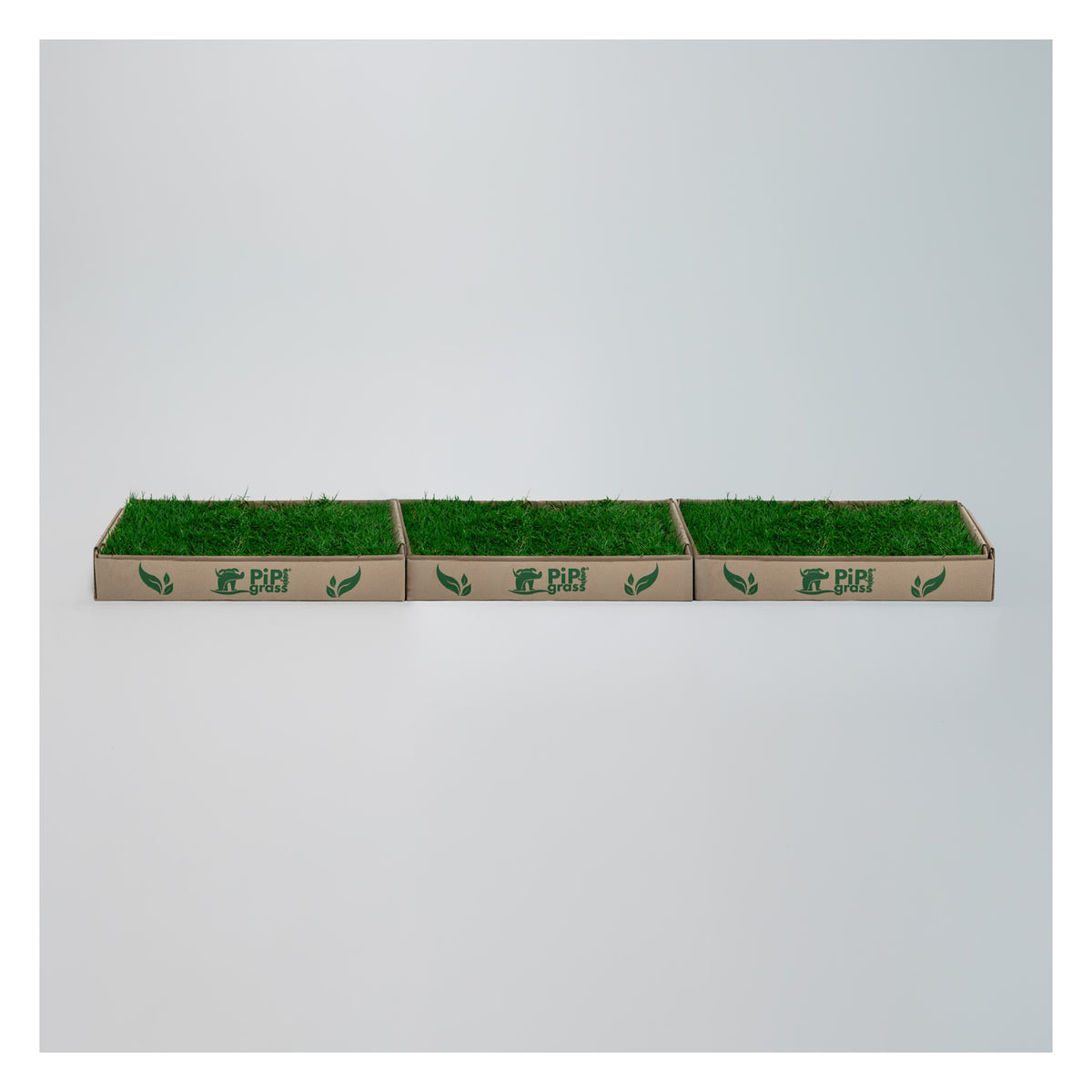 PipiGrass 3XL