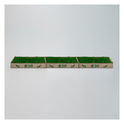 PipiGrass 3XL