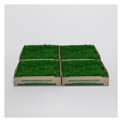 PipiGrass 4XL
