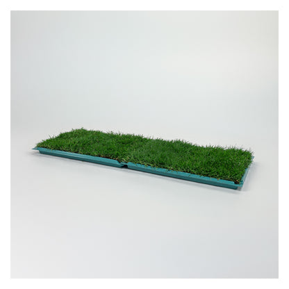 Membresía Mensual PipiGrass 2XL