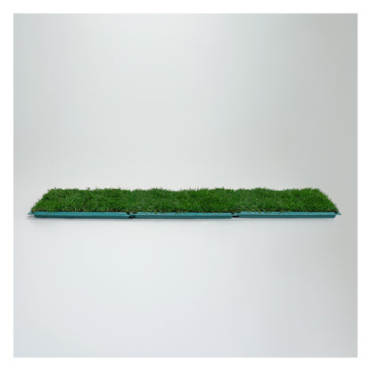 Membresía PipiGrass 3XL