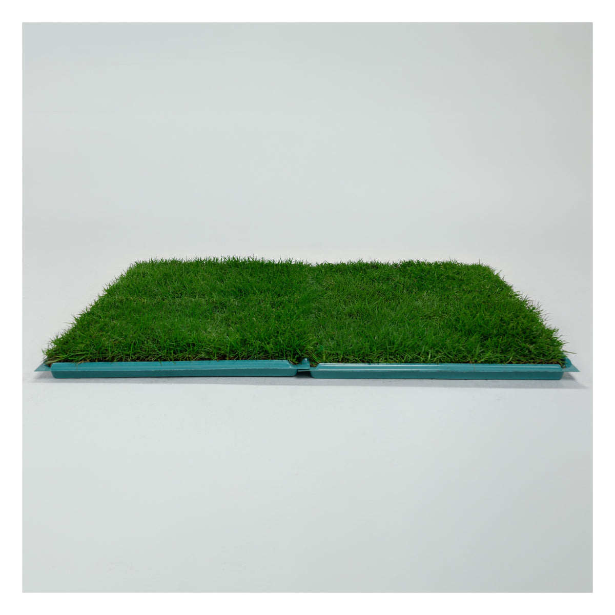 Membresía PipiGrass 4XL