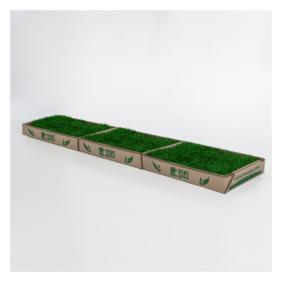 PipiGrass 3XL