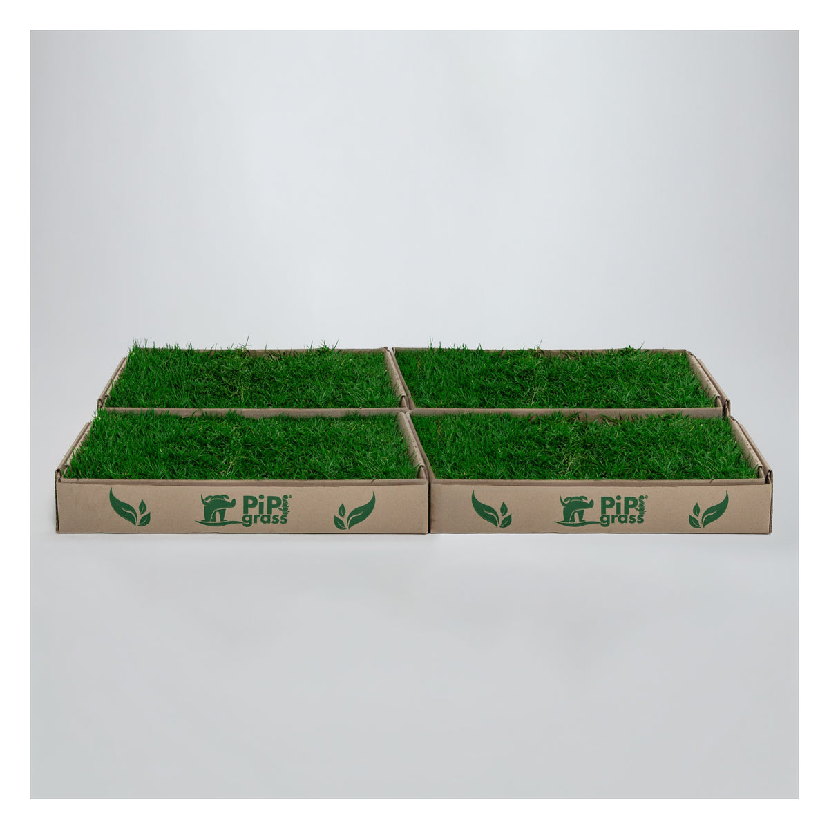 PipiGrass 4XL