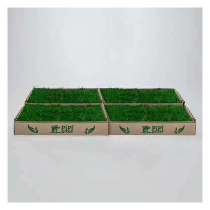 PipiGrass 4XL