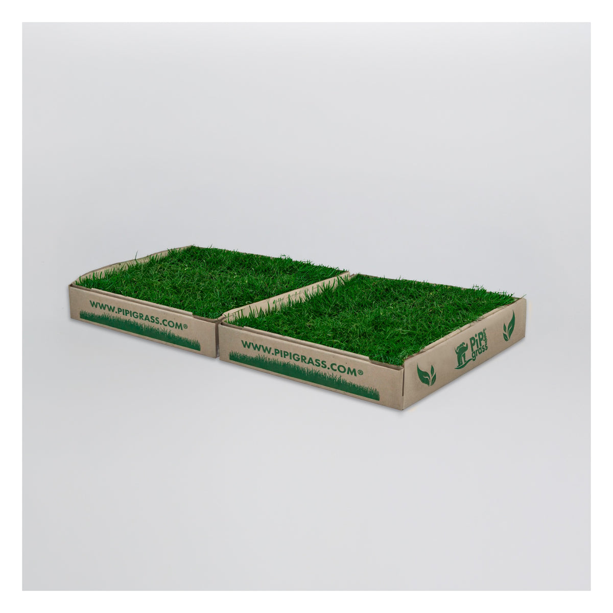 PipiGrass 2XL