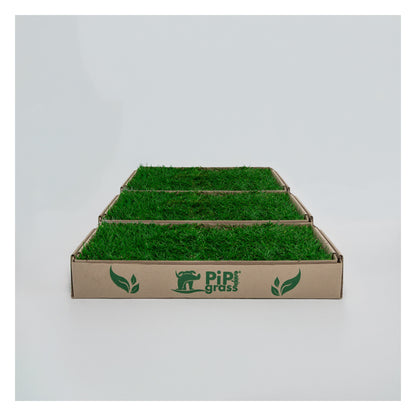 PipiGrass 3XL