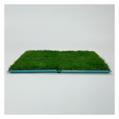 Membresía Mensual PipiGrass 2XL