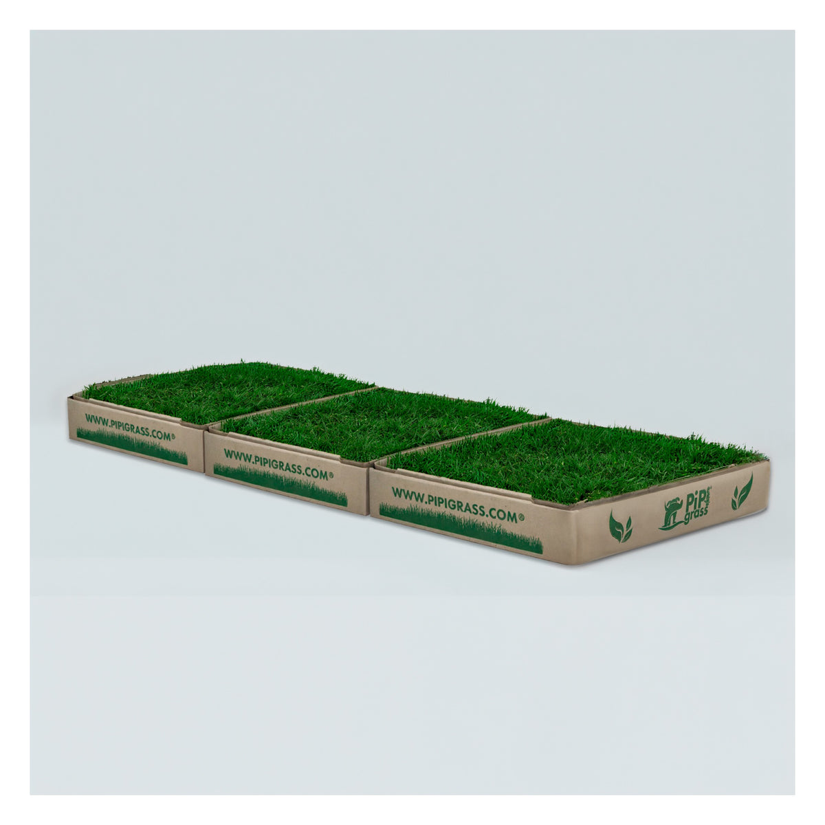 PipiGrass 3XL