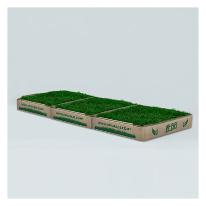 PipiGrass 3XL