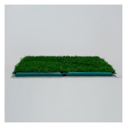 Membresía Mensual PipiGrass 2XL