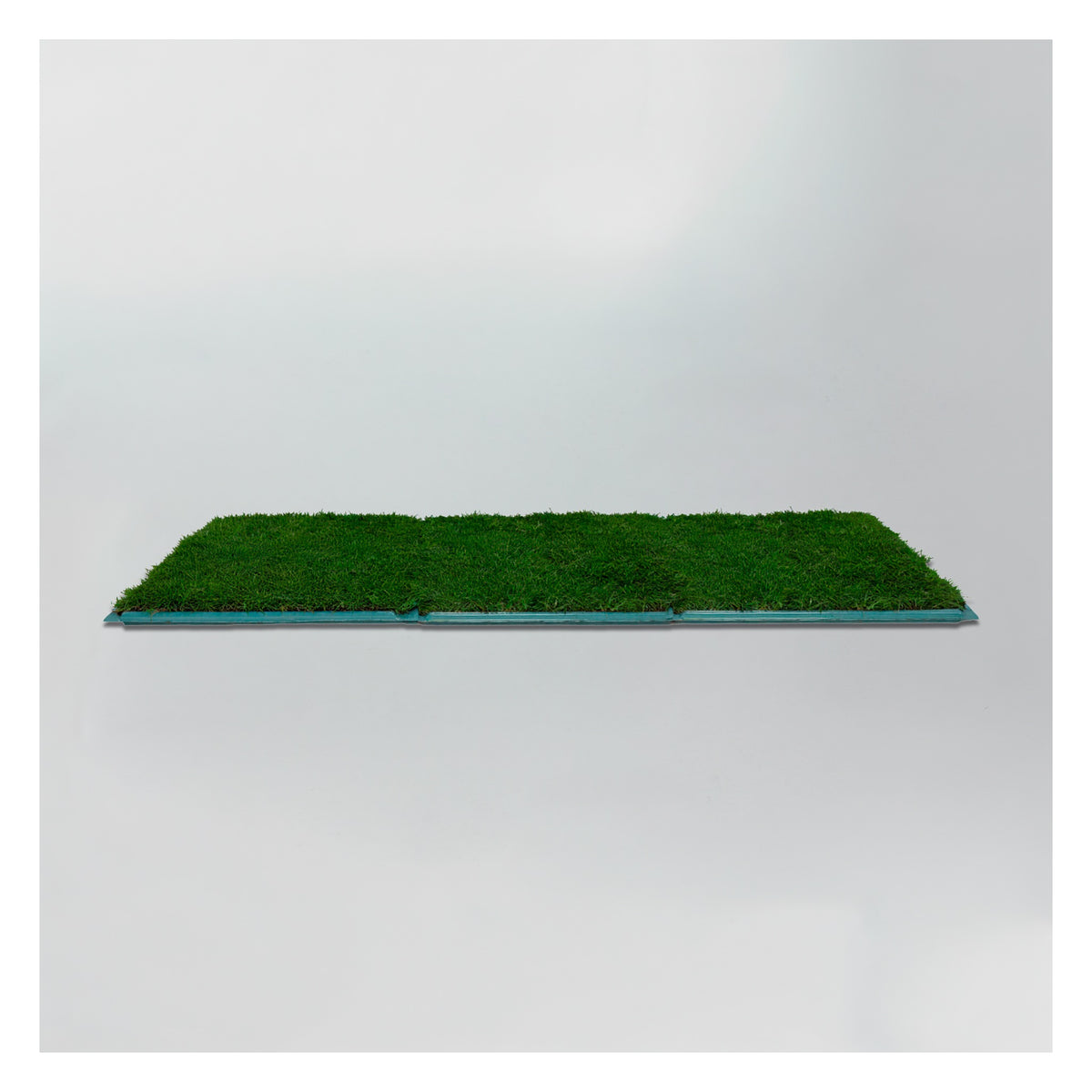 Membresía PipiGrass 3XL