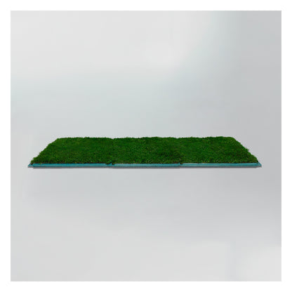 Membresía PipiGrass 3XL