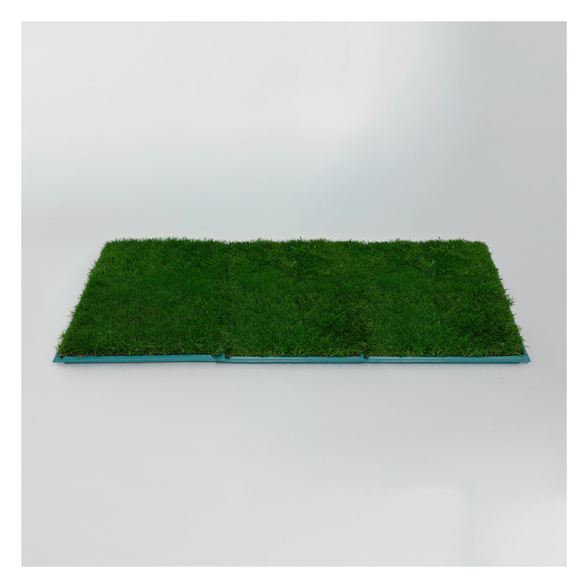Membresía PipiGrass 3XL