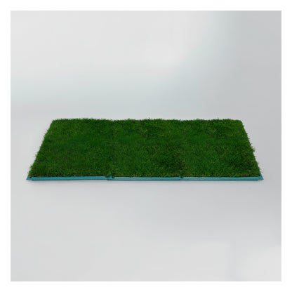 Membresía PipiGrass 3XL