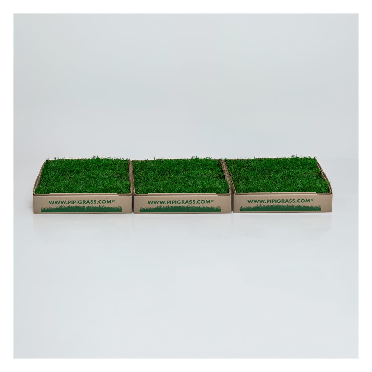 PipiGrass 3XL
