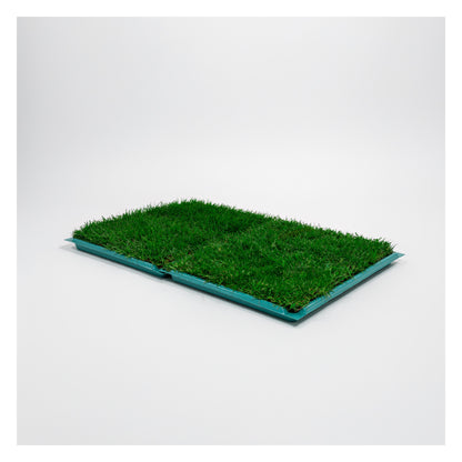 Membresía Mensual PipiGrass 2XL