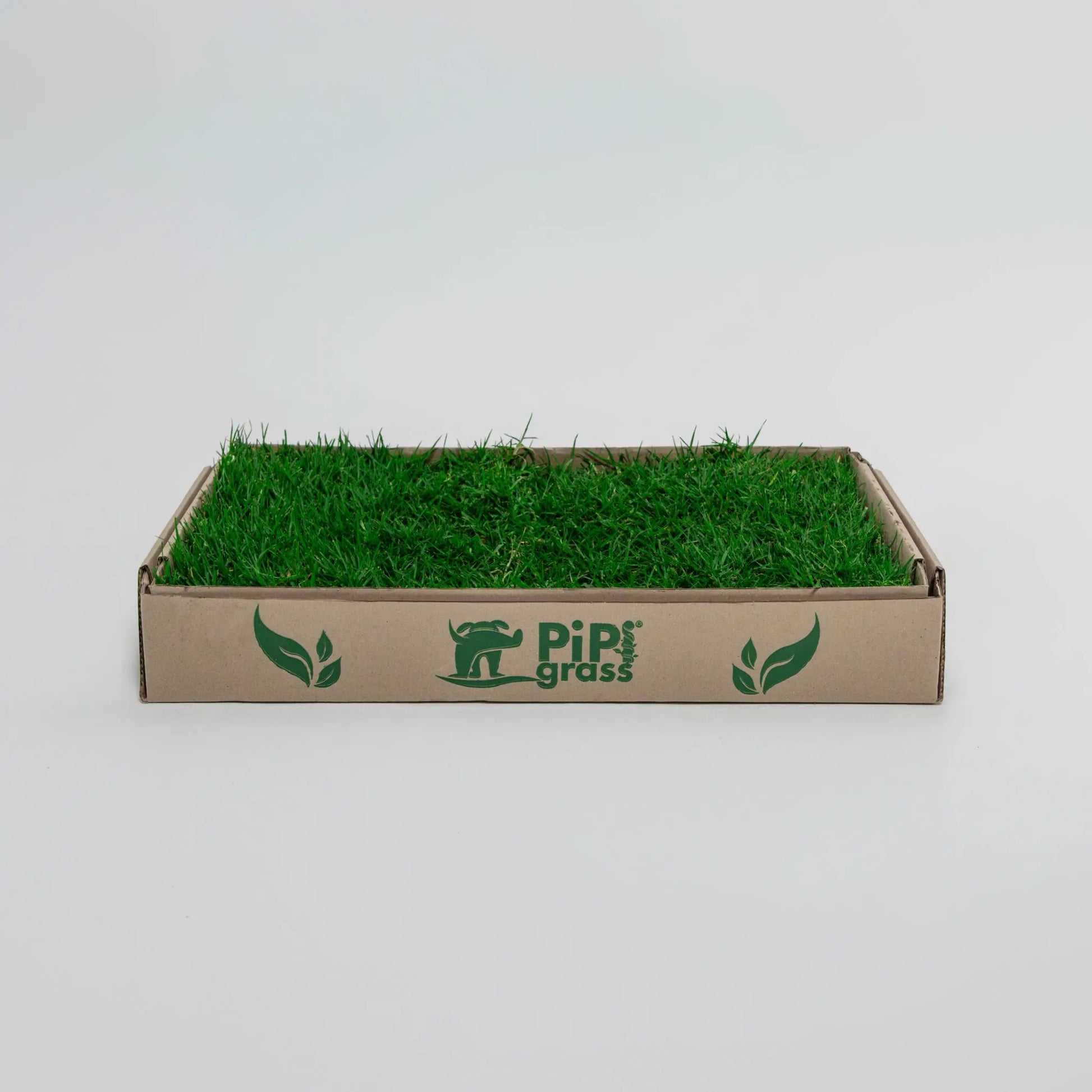 PipiGrass Estándar