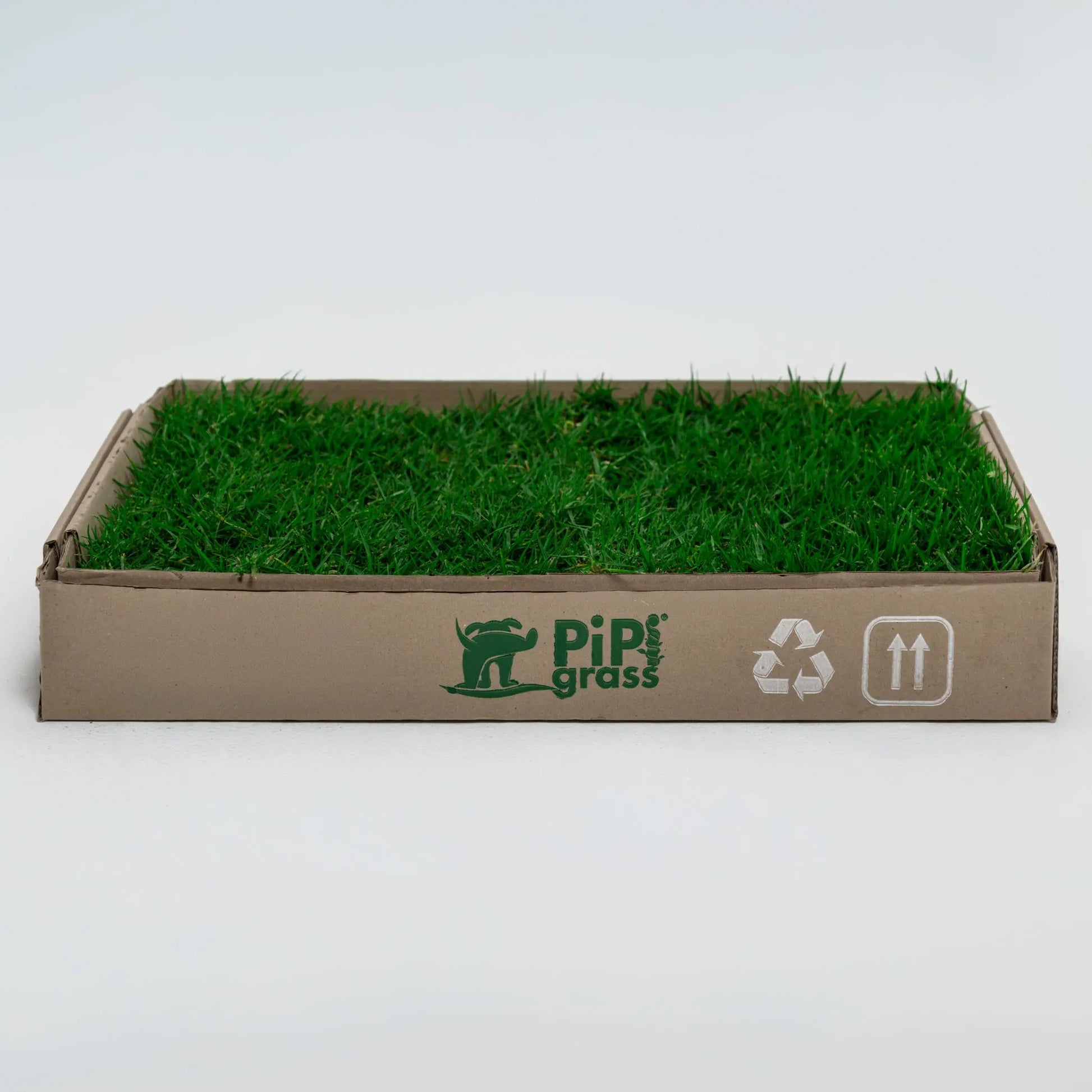 PipiGrass Estándar