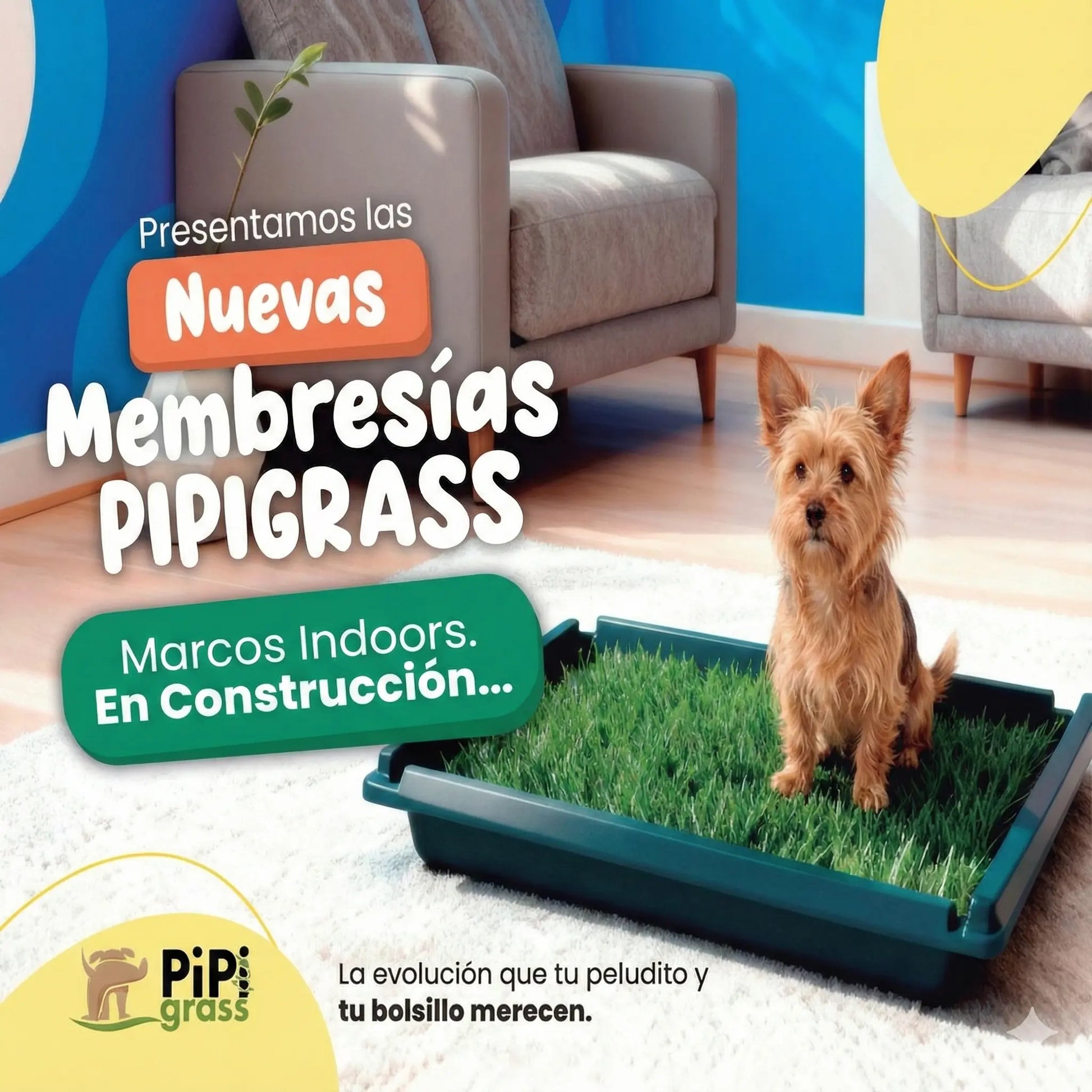 Marco Indoor Estándar PipiGrass