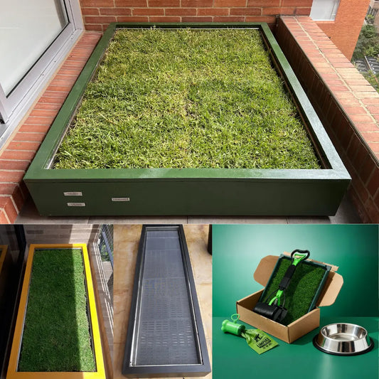 Membresía Marco Outdoor XXL Long PipiGrass