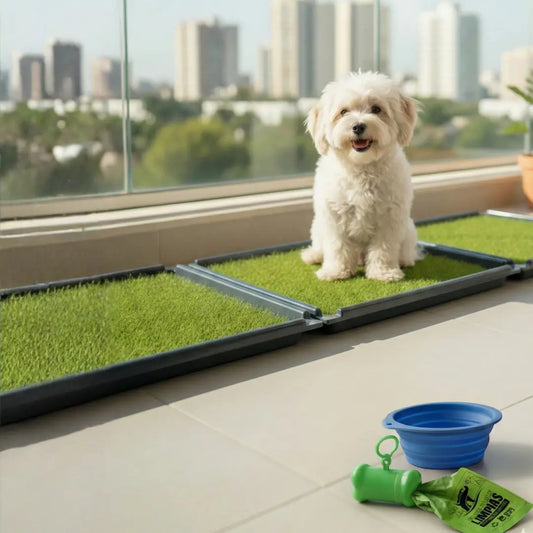 Membresía PipiGrass Estandar x3 - Semestre PipiGrass