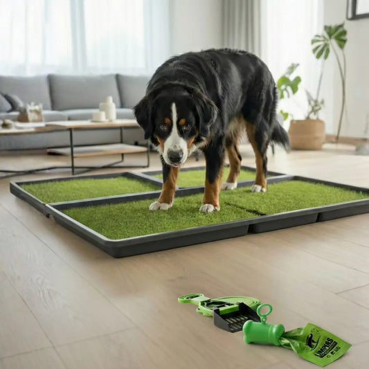 Membresía PipiGrass Estandar x4 - Semestre PipiGrass