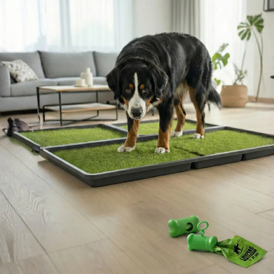 Membresía PipiGrass Estandar x4 - Trimeste PipiGrass