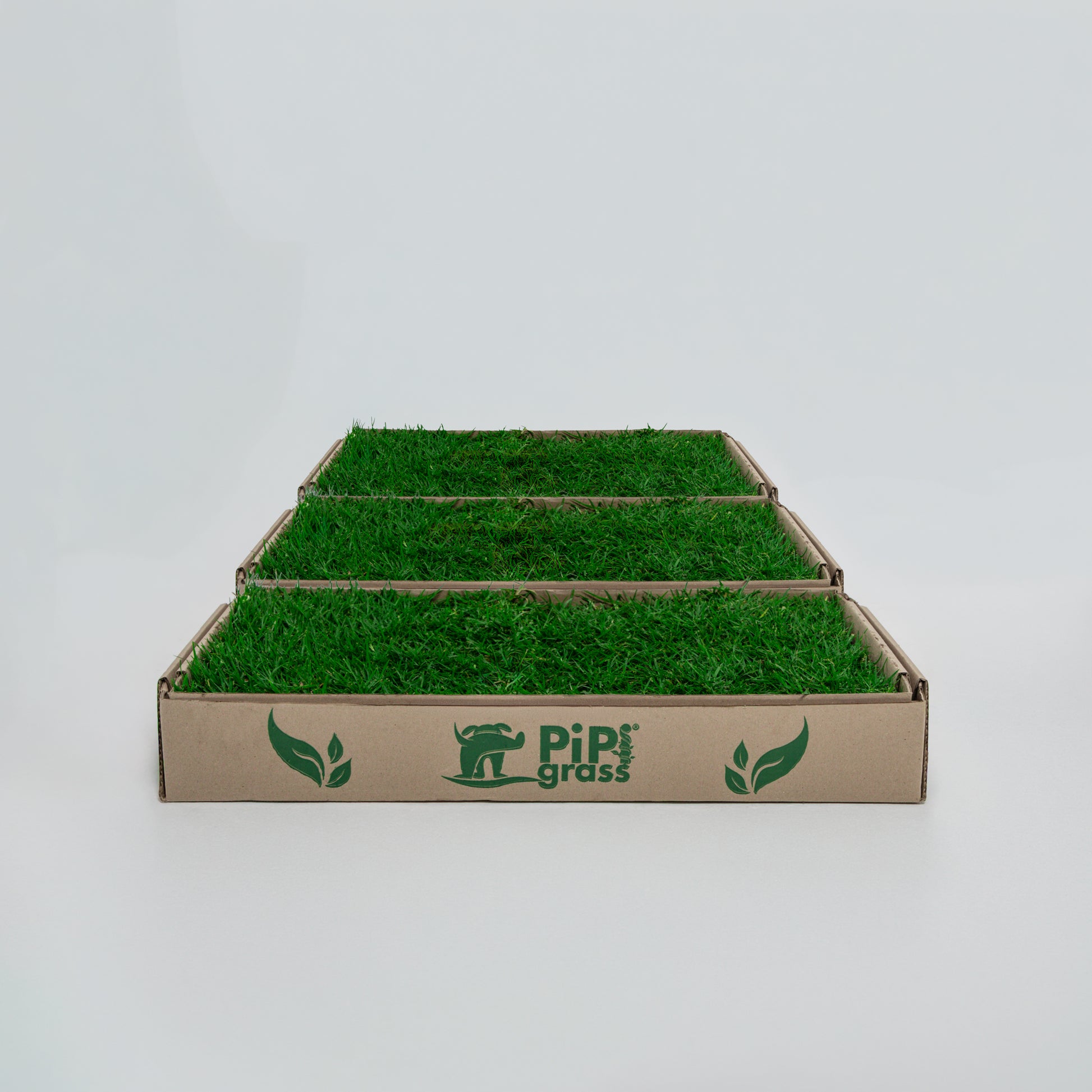 PipiGrass 3XL