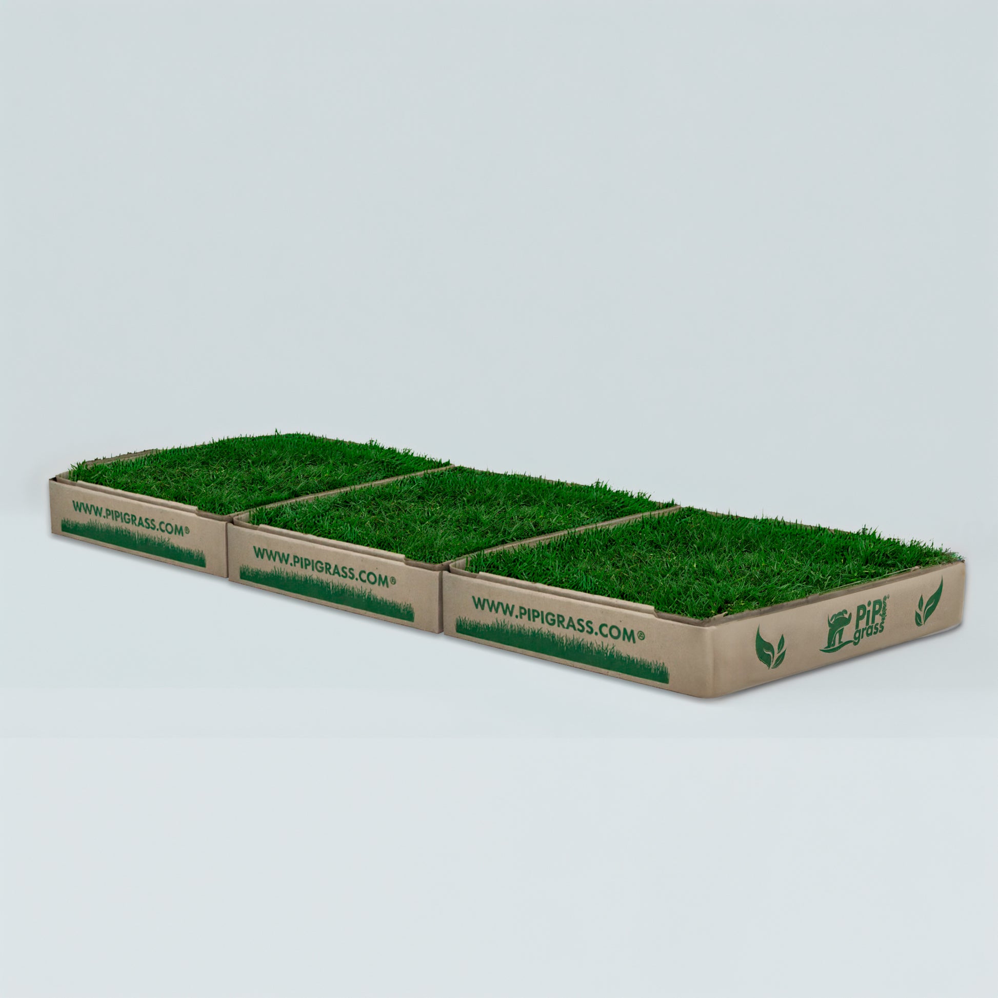 PipiGrass 3XL