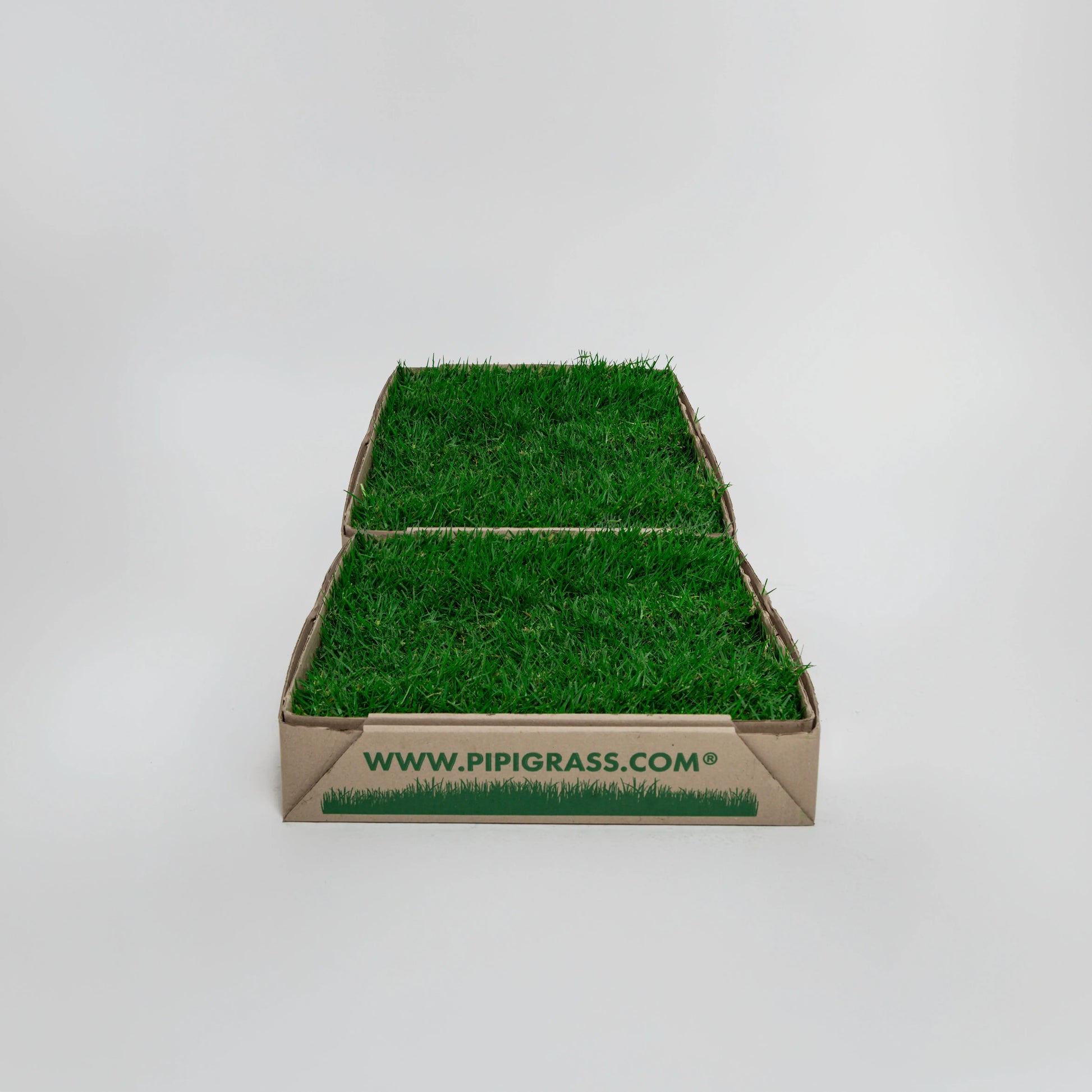PipiGrass 2XL